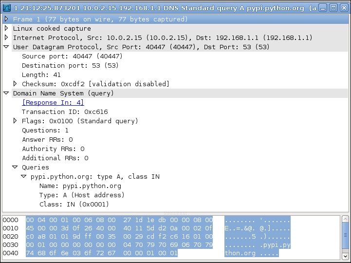 Inspecting DNS client/server communication