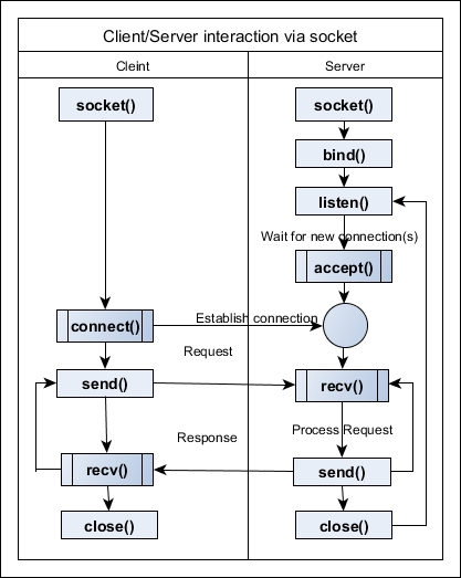 Basics of sockets