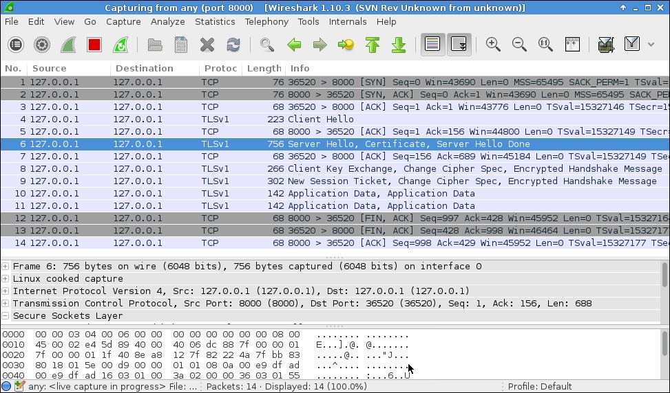 Inspecting interaction between a custom SSL client/server