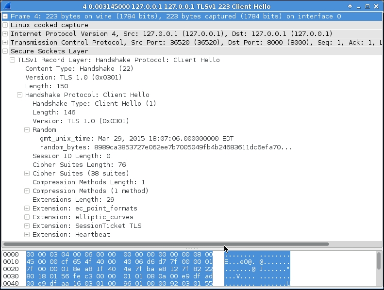 Inspecting interaction between a custom SSL client/server