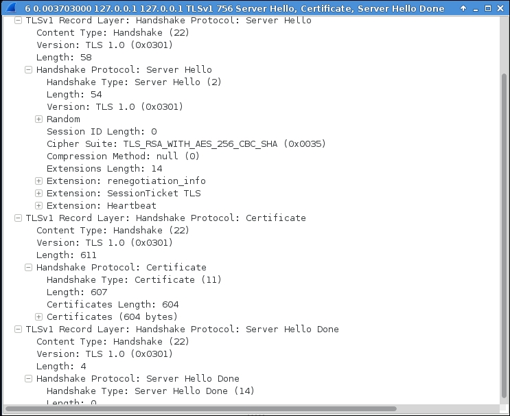 Inspecting interaction between a custom SSL client/server