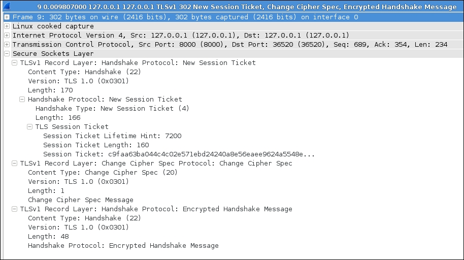 Inspecting interaction between a custom SSL client/server