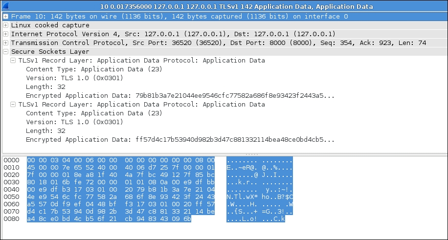 Inspecting interaction between a custom SSL client/server