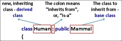 Syntax of inheritance