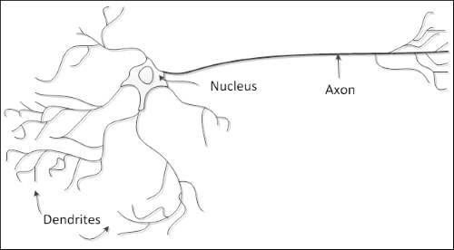 How neural networks are arranged