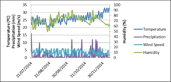 Neural networks for prediction problems