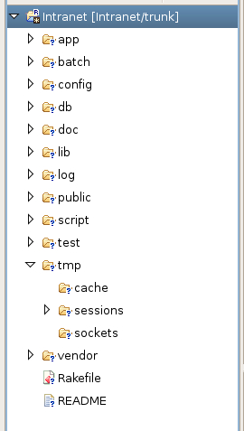 Storing a Project in Subversion