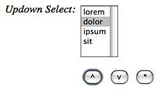 The <s:updownselect> tag