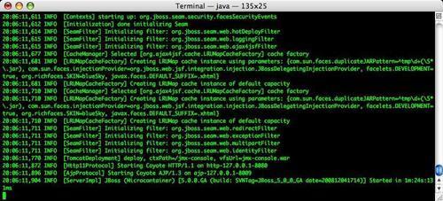 Starting the JBoss Application Server