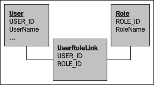 Assign a set of roles to a user