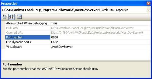 ASP.NET Development Server