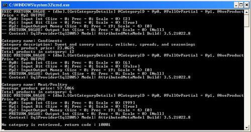 Testing the stored procedure