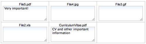 The file review step