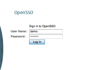 Verifying the SSO