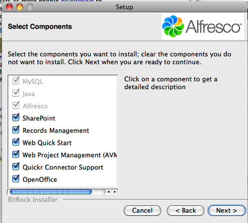 Time for action - installing Alfresco on your test site