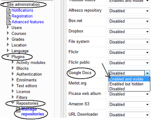 Enabling Google Docs in Moodle