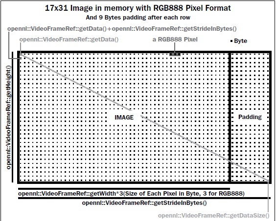 VideoFrameRef object