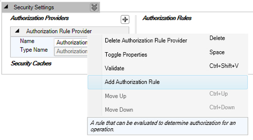 Authorizing using Authorization Rule Provider