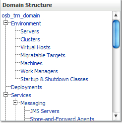 The Domain Structure