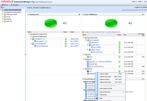 Additional: Oracle Enterprise Manager console