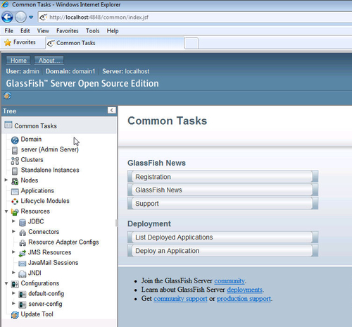 Installing the Oracle GlassFish Server