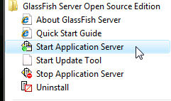 Installing the Oracle GlassFish Server