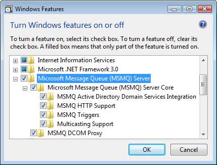 Setting up MSMQ on your server