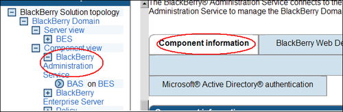 Settings for the BlackBerry Administration Service