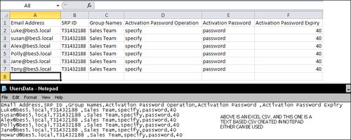 Importing users to the BlackBerry Enterprise Server