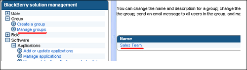 Creating a software configuration to deploy the MDS runtime platform to devices