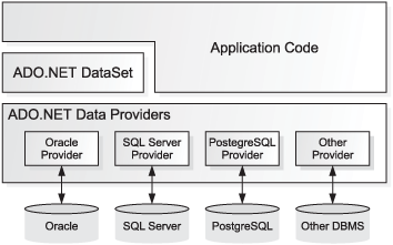 Application code can talk to databases using data providers directly or via DataSets.