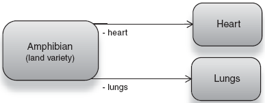 The land-dwelling variety of Amphibian depends on a Heart and Lungs. 