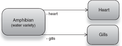 The aquatic variety of Amphibian depends on a Heart and Gills. 