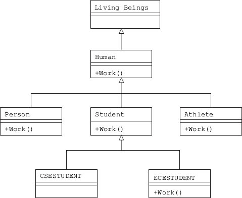 Polymorphism at work: ECE students has own work(): CSE student works with Student Work() because CSESTUDENT has not overridden.