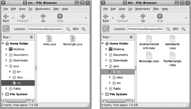 Figure 2.1 Organization of files