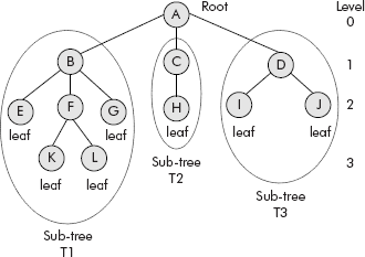 The tree and its related terms