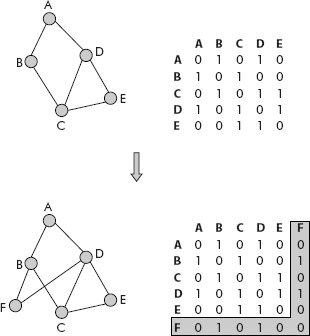 Insertion of a vertex into an undirected graph