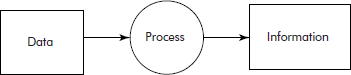 Processing of data into information