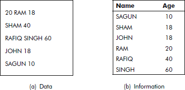 Data and information