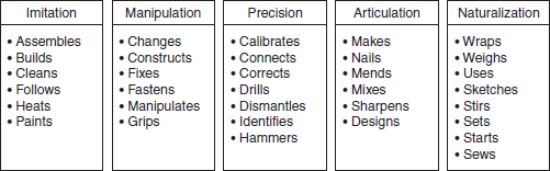 Action Verbs of the Categories in the Psychomotor Domain