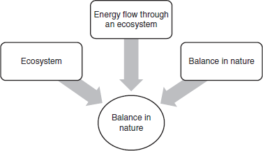 An Example of a Unit and Its Lessons