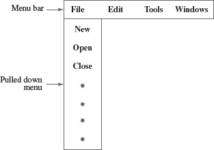 Figure 1.2