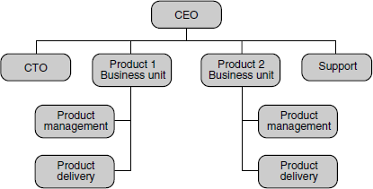 Organization structure of a multi-product company.
