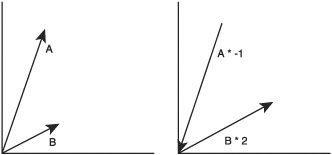 Vector, scalar multiplication.