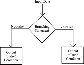 Illustration of a branching statement showing how program logic works.