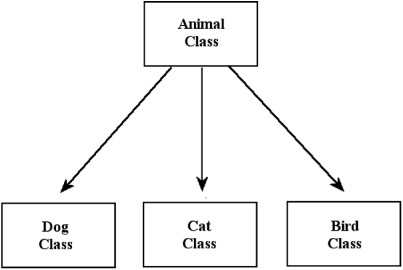 The Dog, Cat, and Bird classes all inherit data and processes from the Animal class.