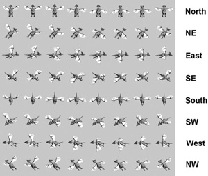 A dragon sprite sheet with an 8 × 8 layout of animation frames.