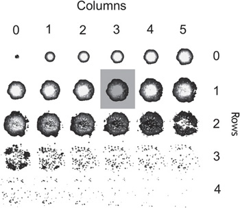 Illustration of the rows and columns in a sprite sheet image.