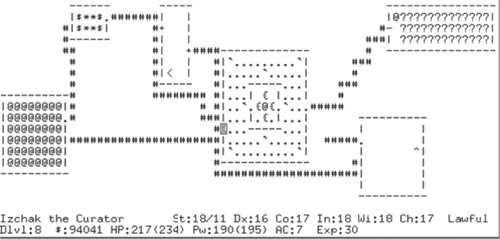 NetHack running in a text-mode console.