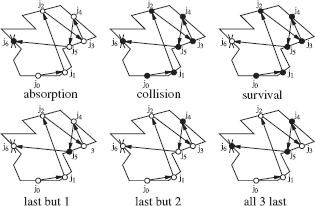 Figure showing absorption, collision, and survival random walk estimators differ by when particle hits are counted: only when they are absorbed, only when they survive impact with a surface, or always. The black dots indicate when a particle is counted; a white dot indicates hits at which it is not counted. The score, recorded when a particle is counted, reflects this choice. Absorption, collision, and survival estimation are not the only possibilities. The bottom row shows some alternatives described in the literature.